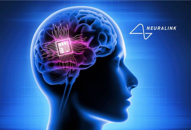 Neuralink企业VI设计案例评估指数-脑机接口品牌设计-科技品牌VI设计